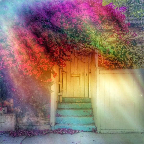 Rainbow Door - 4x4 Fine Art Mini Print by Christina Thomas - unframed - Unlimited Edition